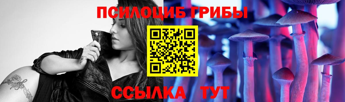 Благодарный  Псилоцибиновые грибы мицелий  Вход с VPN 